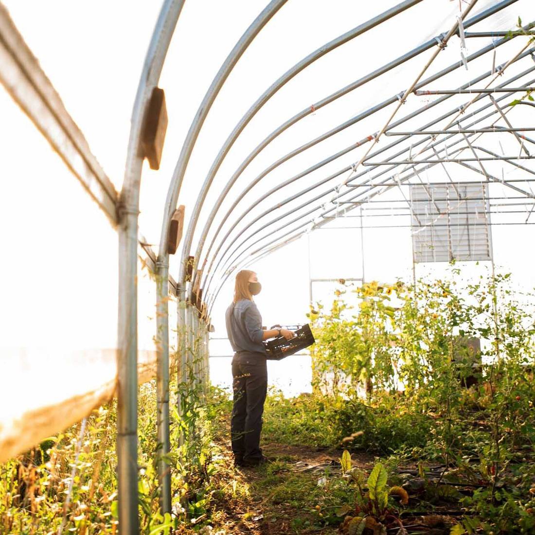 Student Standing in Greenhouse